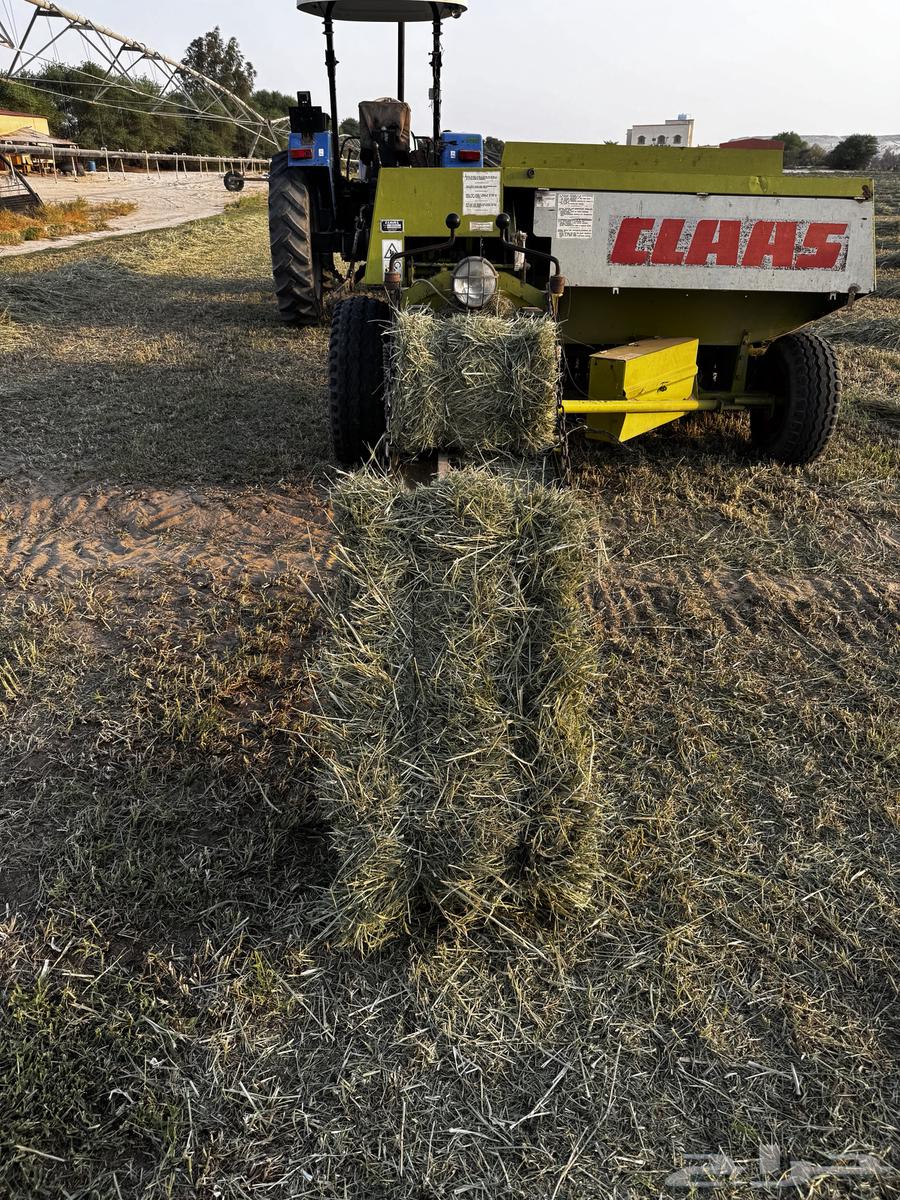 (بلوبنك)64555263773187110