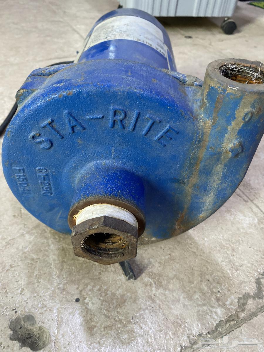 ديلمة سمنان امريكيه 3 4 حصان64557754560898112