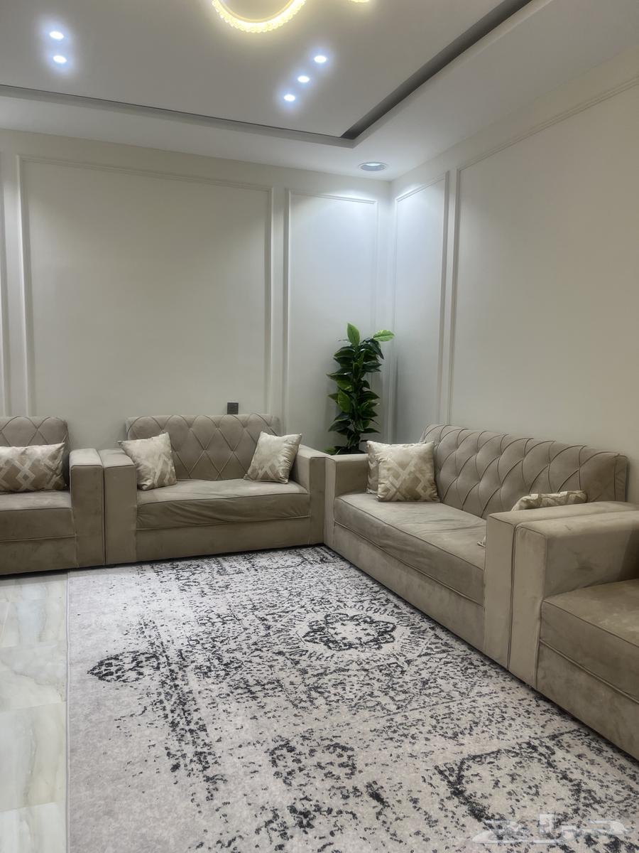 Sofa64558780570113111