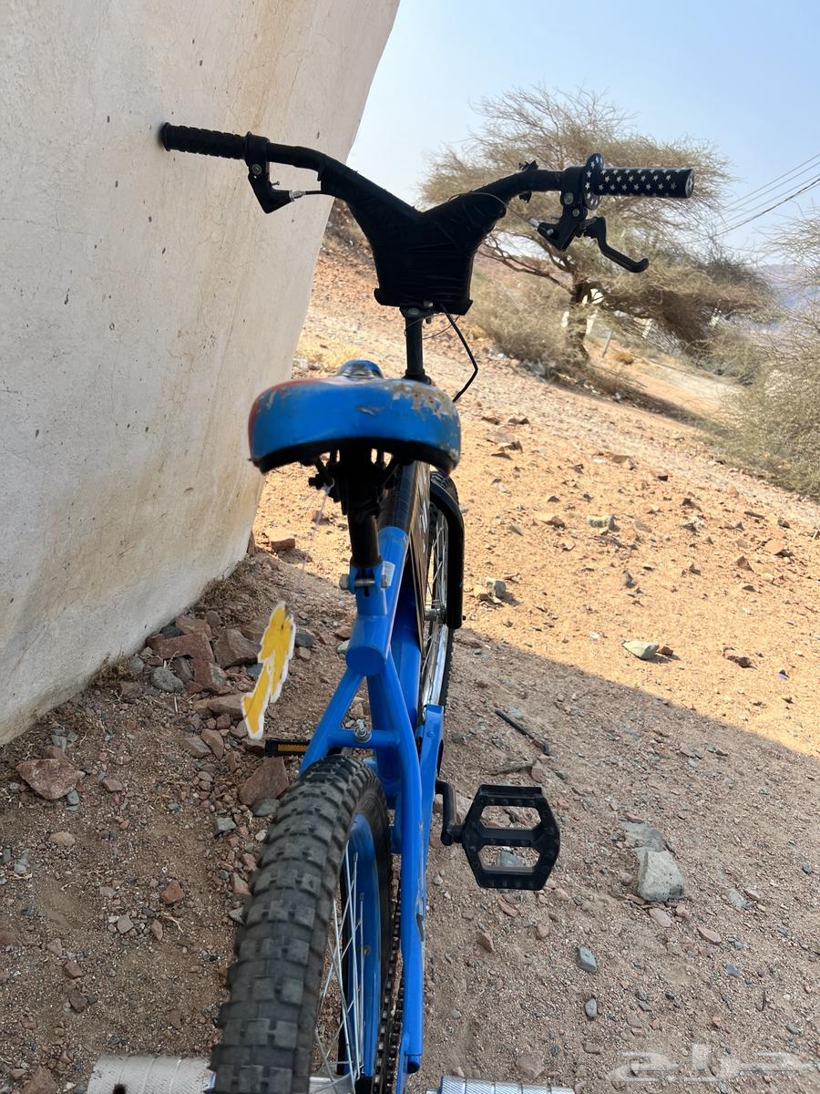 Cobra Cycle64558377965827112