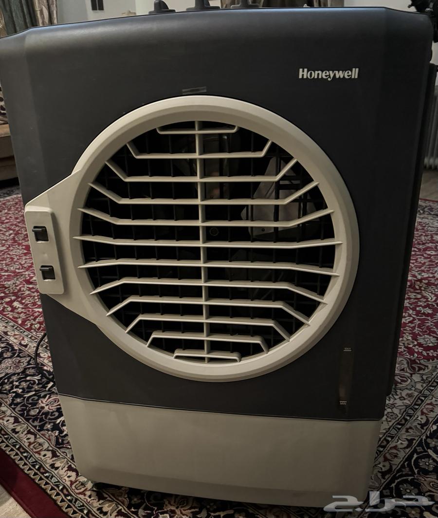 Qatif Tarout64556651143043111