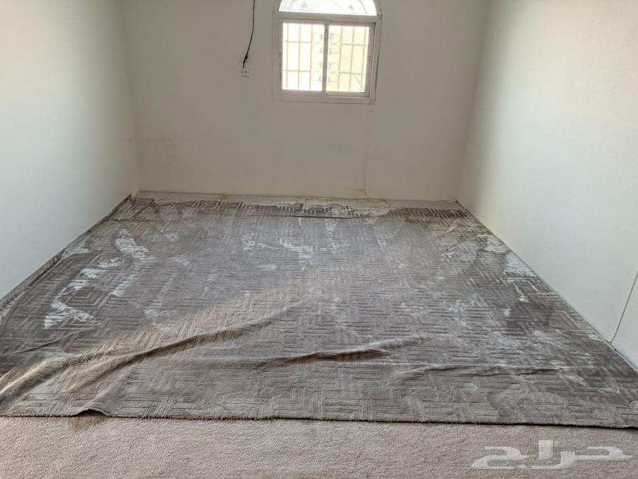 السجاد والبسط64553865314435110