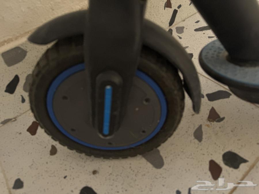 سكوتر كهربائي64556042206979114