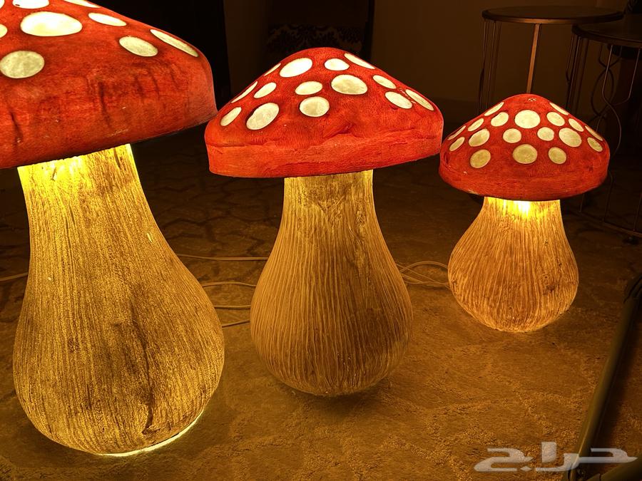 Mushroom-shaped abjorat64556385100673111