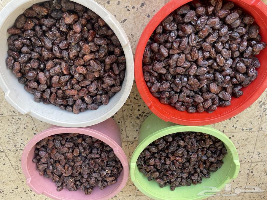 حلوة بقعاء64556623605251110