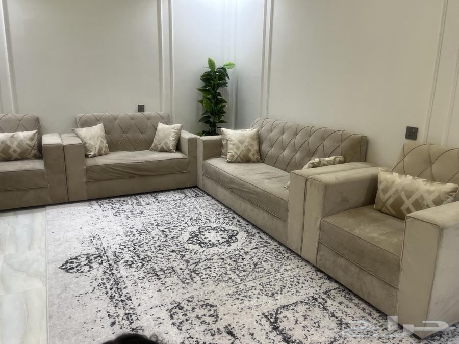 Sofa64558780570113110