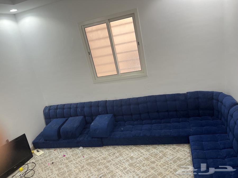 طولت دراجه شاشه وكنب ارضي64559393644675113