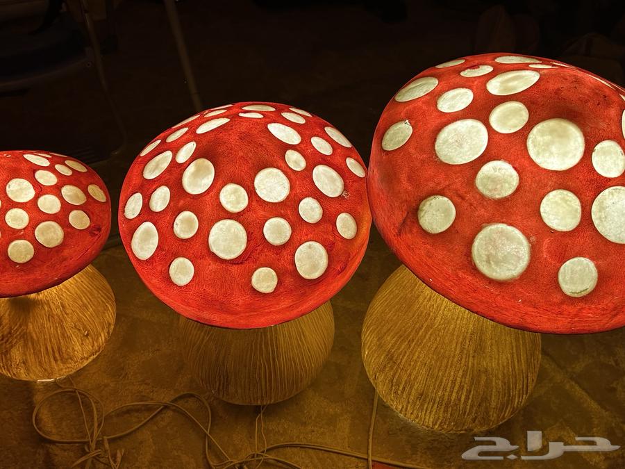 Mushroom-shaped abjorat64556385100673110