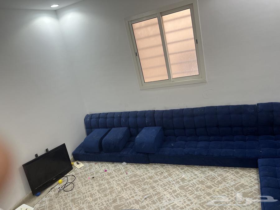 طولت دراجه شاشه وكنب ارضي64559393644675114