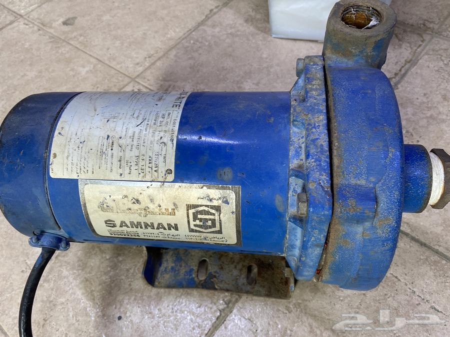 ديلمة سمنان امريكيه 3 4 حصان64557754560898111