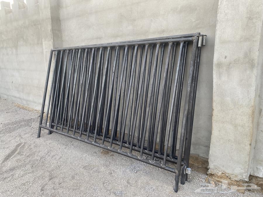 شبك ابل64557920563842111