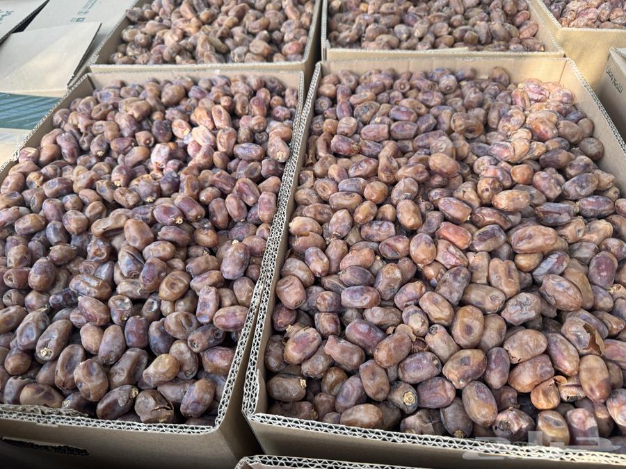 Tamar Khalas64555885370113112