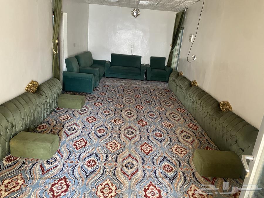 الكنب انباع لحاله باقي الضهريات وا الفرشه64559351711235114