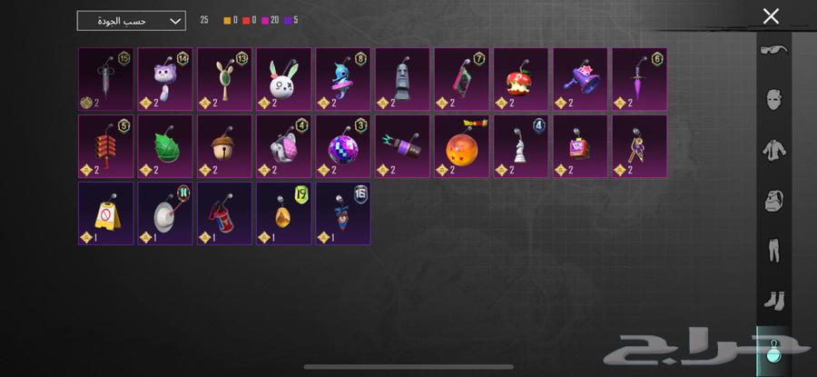 حساب ببجي للبيع لفل 7064559715478914113