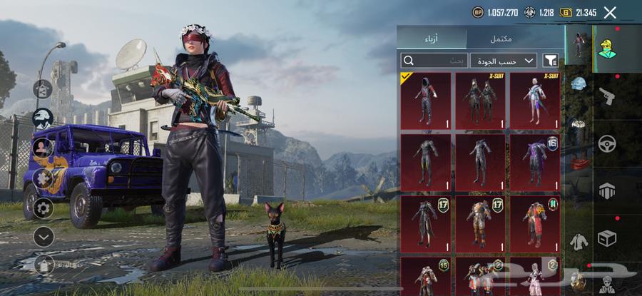 حساب ببجي64556427295361110