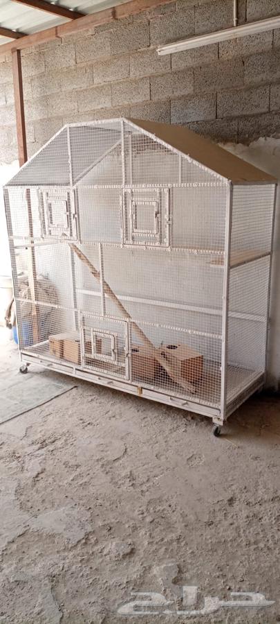 للبيع قفص64558252746115110