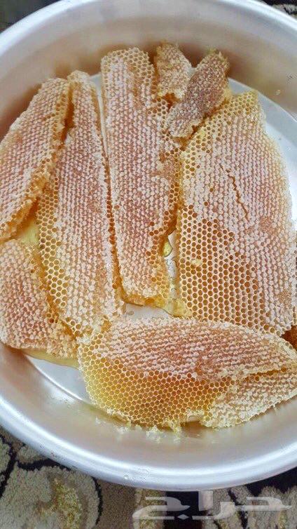 عسل سدره وسمره وطلحه وغذاء المكات اصلي ومضمون64556399385090113