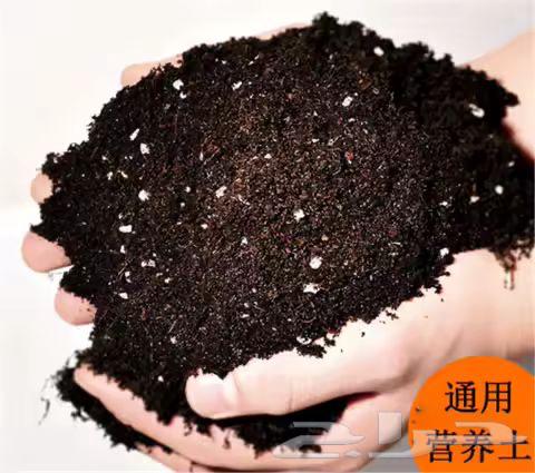 بيتموس زراعي وأسمدة زراعيه جبس زراعي هيومك زراعي تصنيع شركات64559182467074111