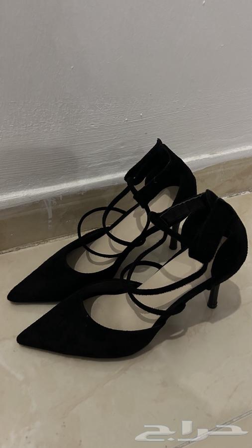 كعب أسود64559280994049113