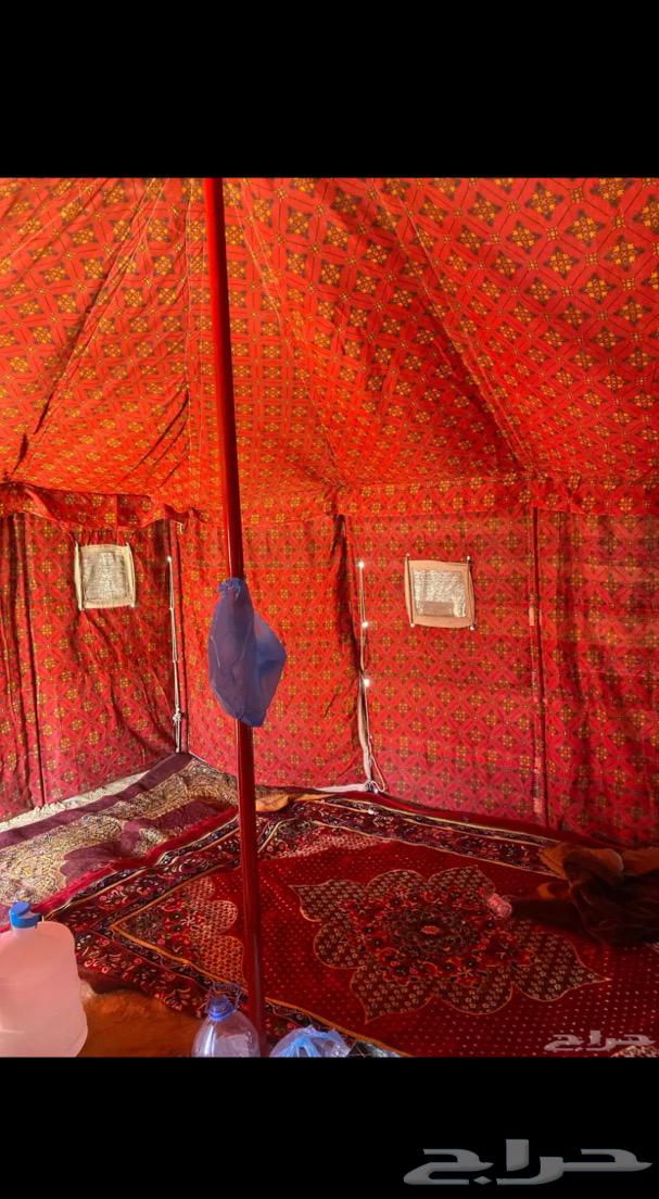 خيمه للبيع64553623447170114