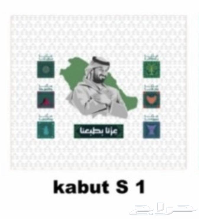 علم كبوت لليوم الوطني64561768484867113