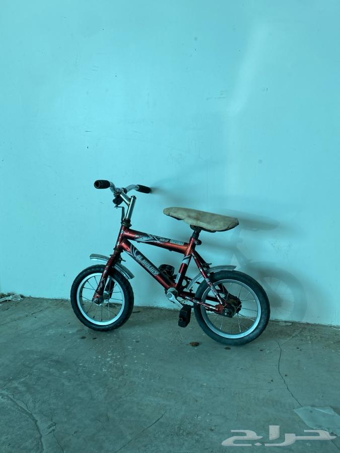 Cycle64555574502403111