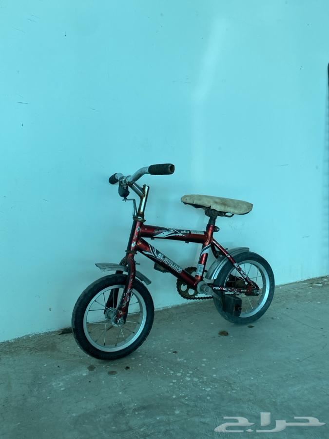 Cycle64555574502403110