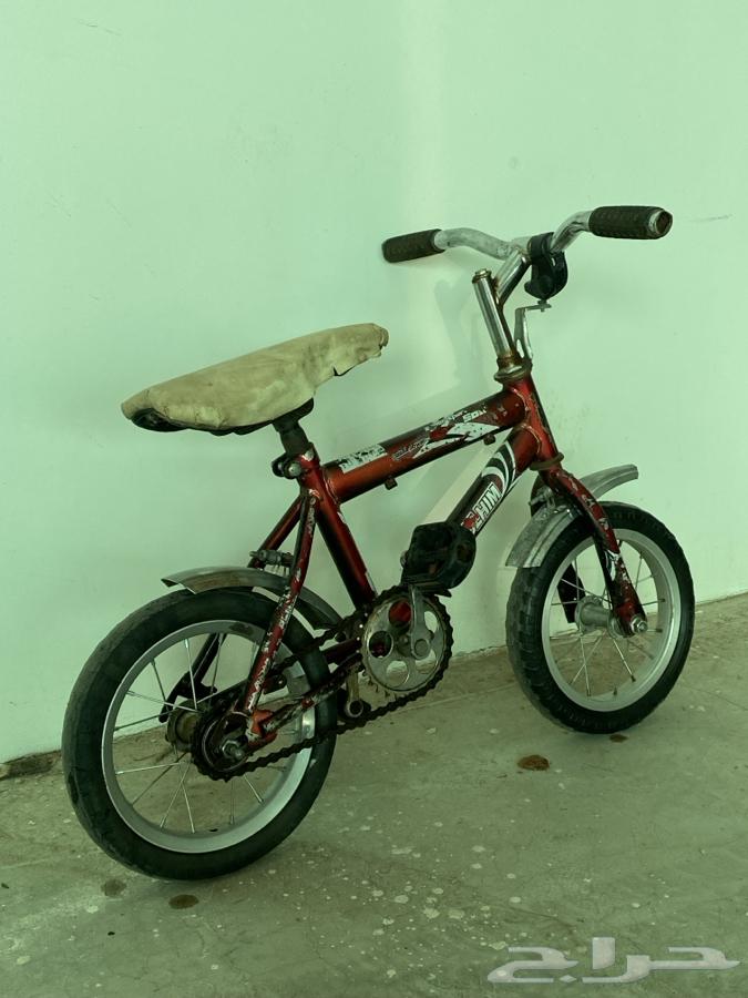 Cycle64555574502403112