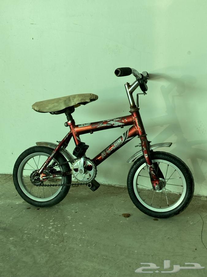 Cycle64555574502403113