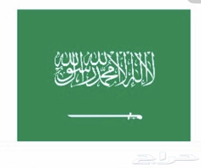 علم كبوت لليوم الوطني64561768484867114