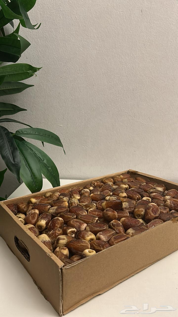 Qassim Dates and Mafatool64554272950531112