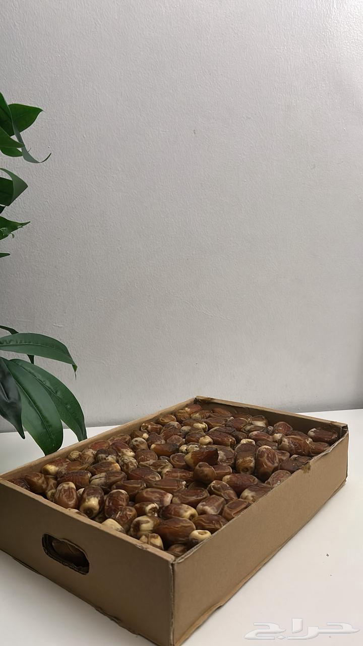 Qassim Dates and Mafatool64554272950531113