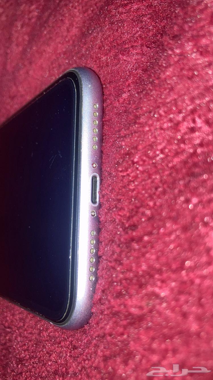 ايفون 11 العادي64562487409283114