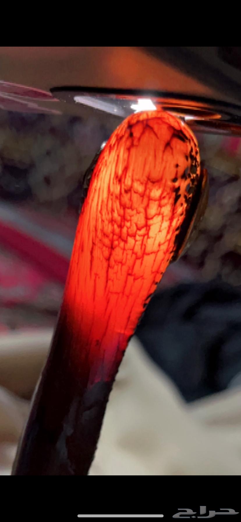 جنبيه زراف64558266537601110