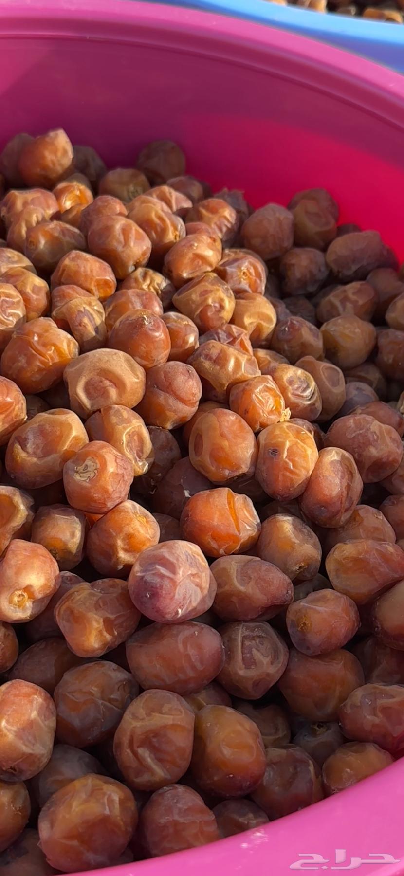 Dates from Al-Burayhi and Maktoomi, large sizes from east of Hail64557851652867110
