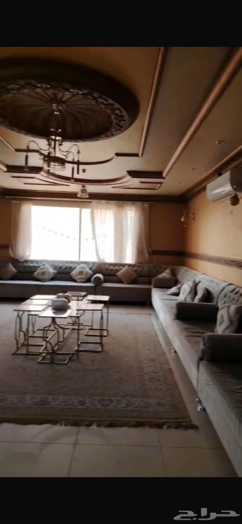 مجلس عربي موضح بصوره 5 5ونصف رقم التواصل واتساب64556140588675110