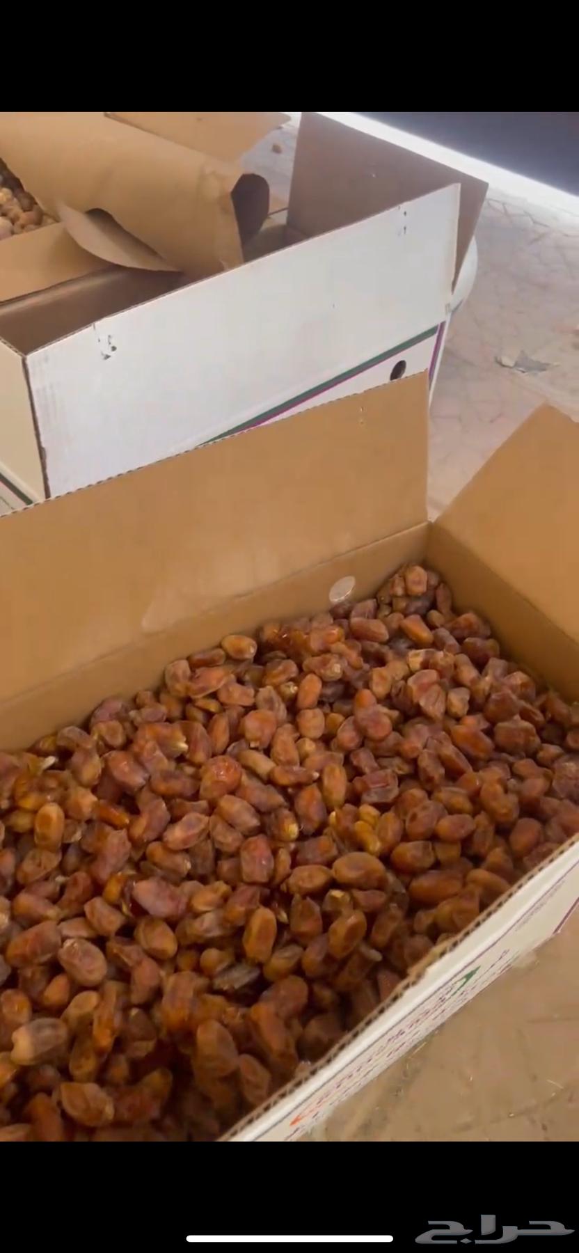 تمر مزارع هذا سنه جديد 4 كراتين الكرتون 55 كليو64555040173186110