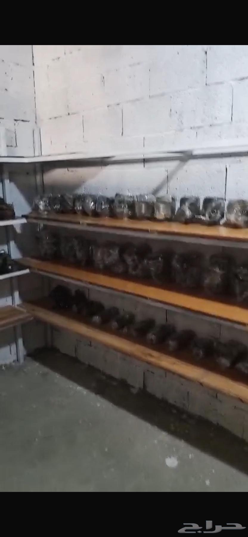 يوجد لدينا انواع من الكمبرسر والدينمو والسلف وقطع سلف64559001545346114