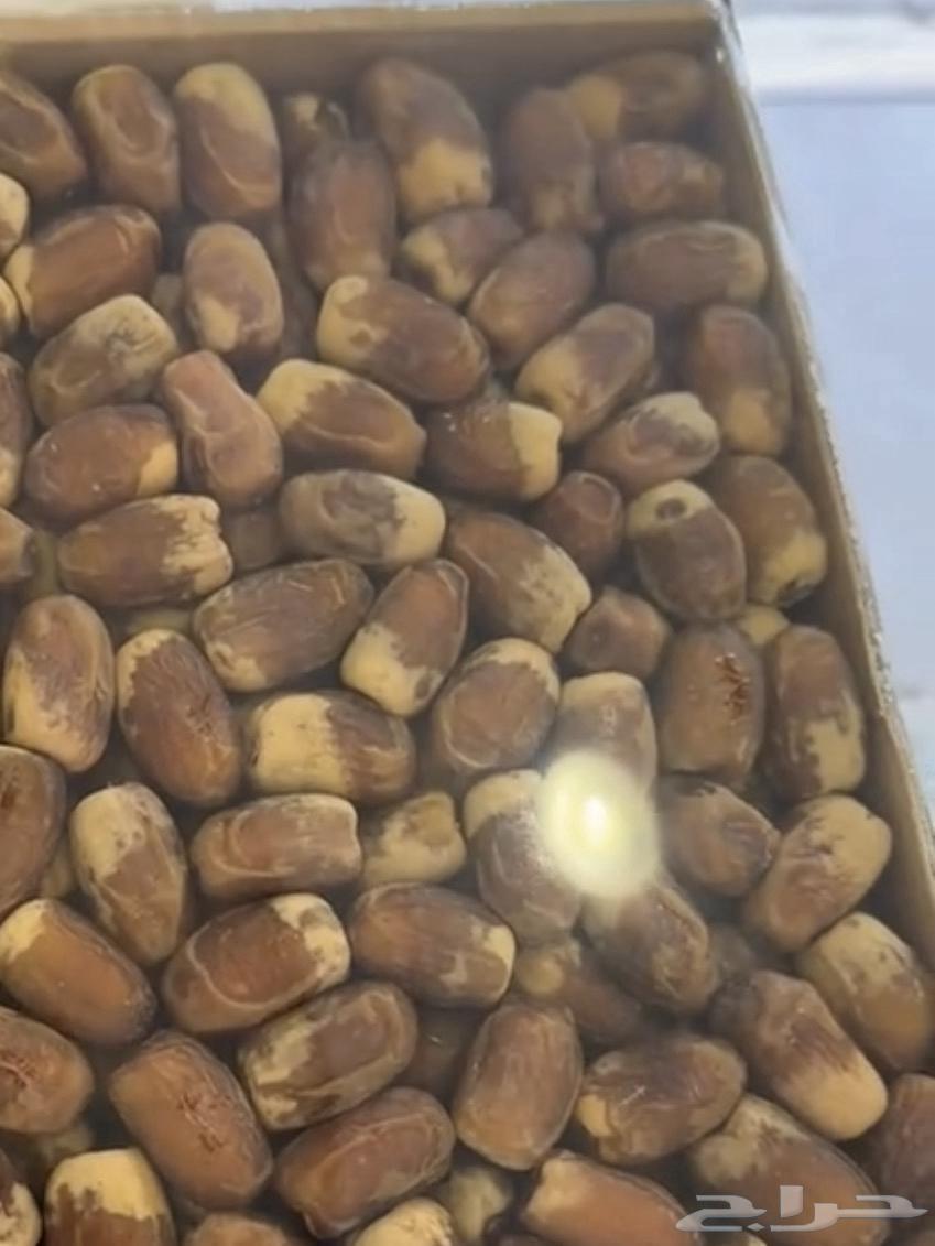 Qassim Dates and Mafatool64554272950531111