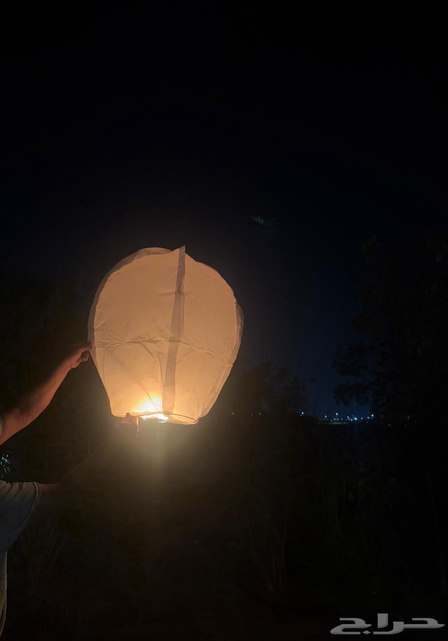 فانوس طائر لليوم الوطني او الاحتفالات64562263179138112