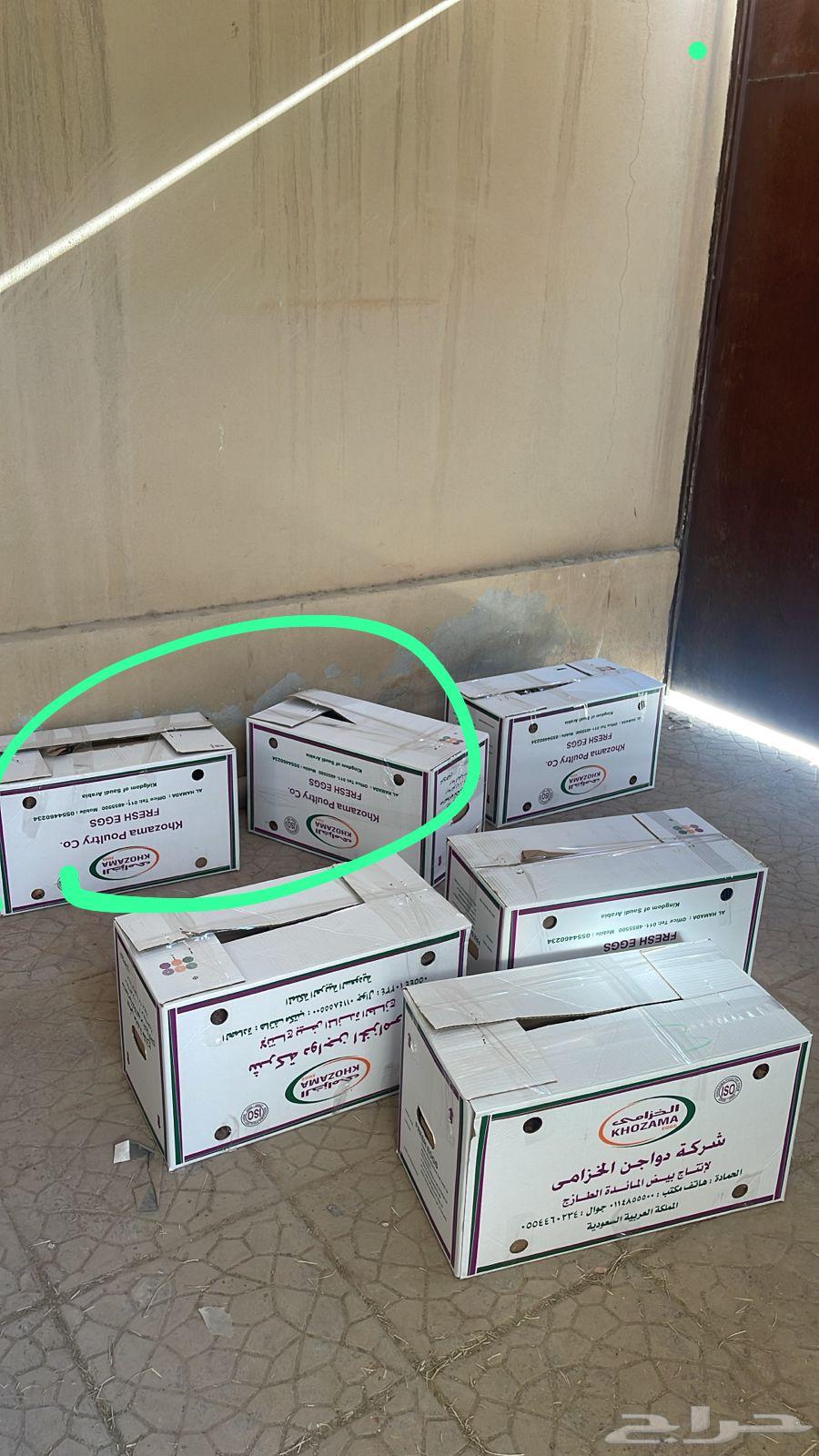 تمر مزارع هذا سنه جديد 4 كراتين الكرتون 55 كليو64555040173186111