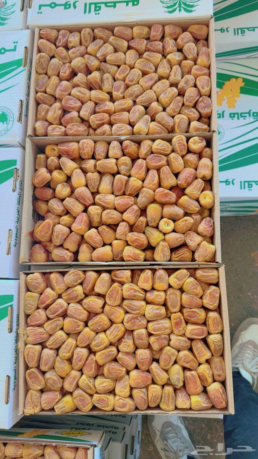 Sugar twisted number 164554076618369110