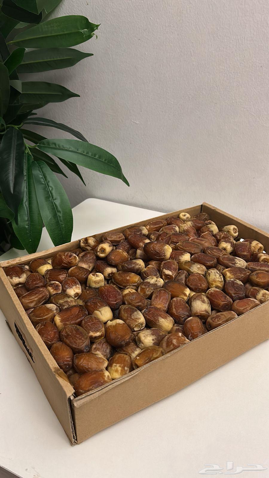 Qassim Dates and Mafatool64554272950531114