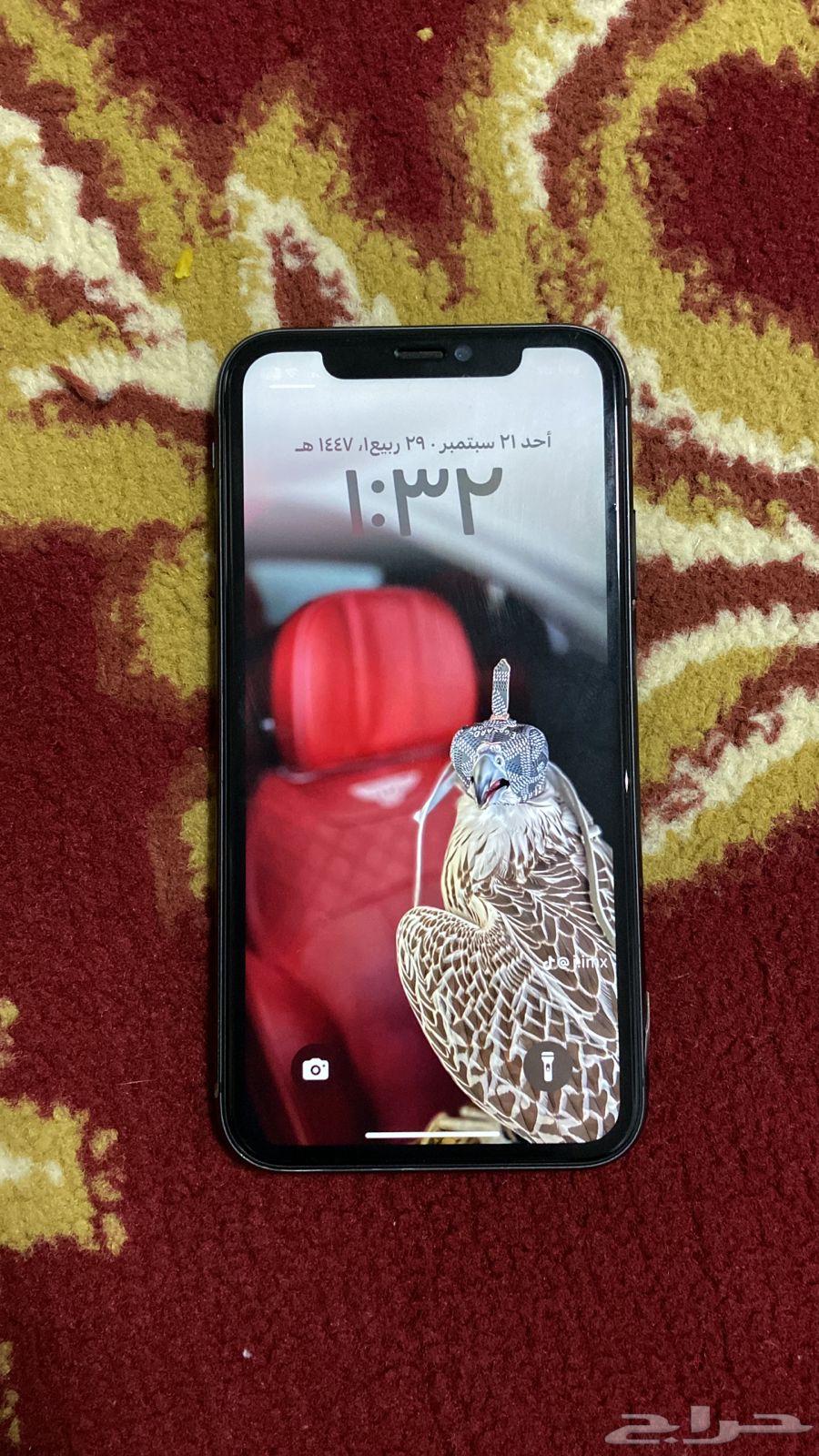 Regular iPhone 1164554006343427112