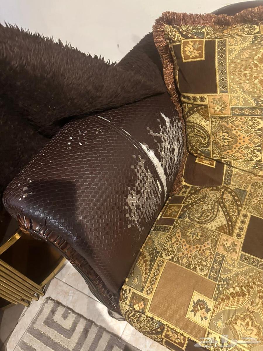 Sofas and carpets64558489298434114