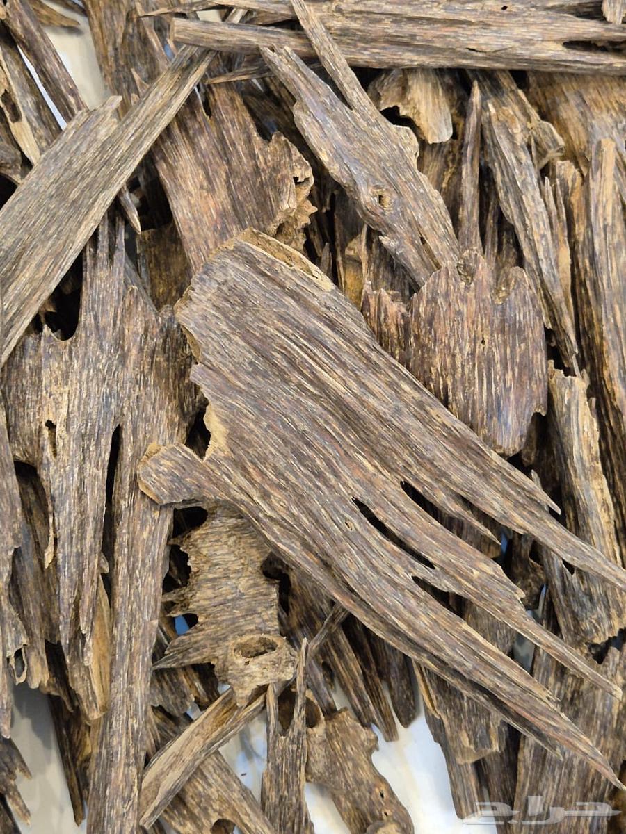 عود هندي زورا64558836716417111