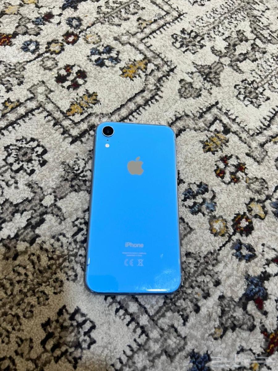 iPhone XR64557572994435111