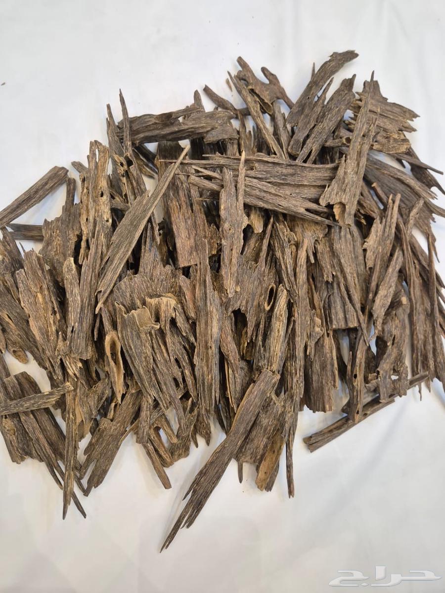 عود هندي زورا64558836716417110