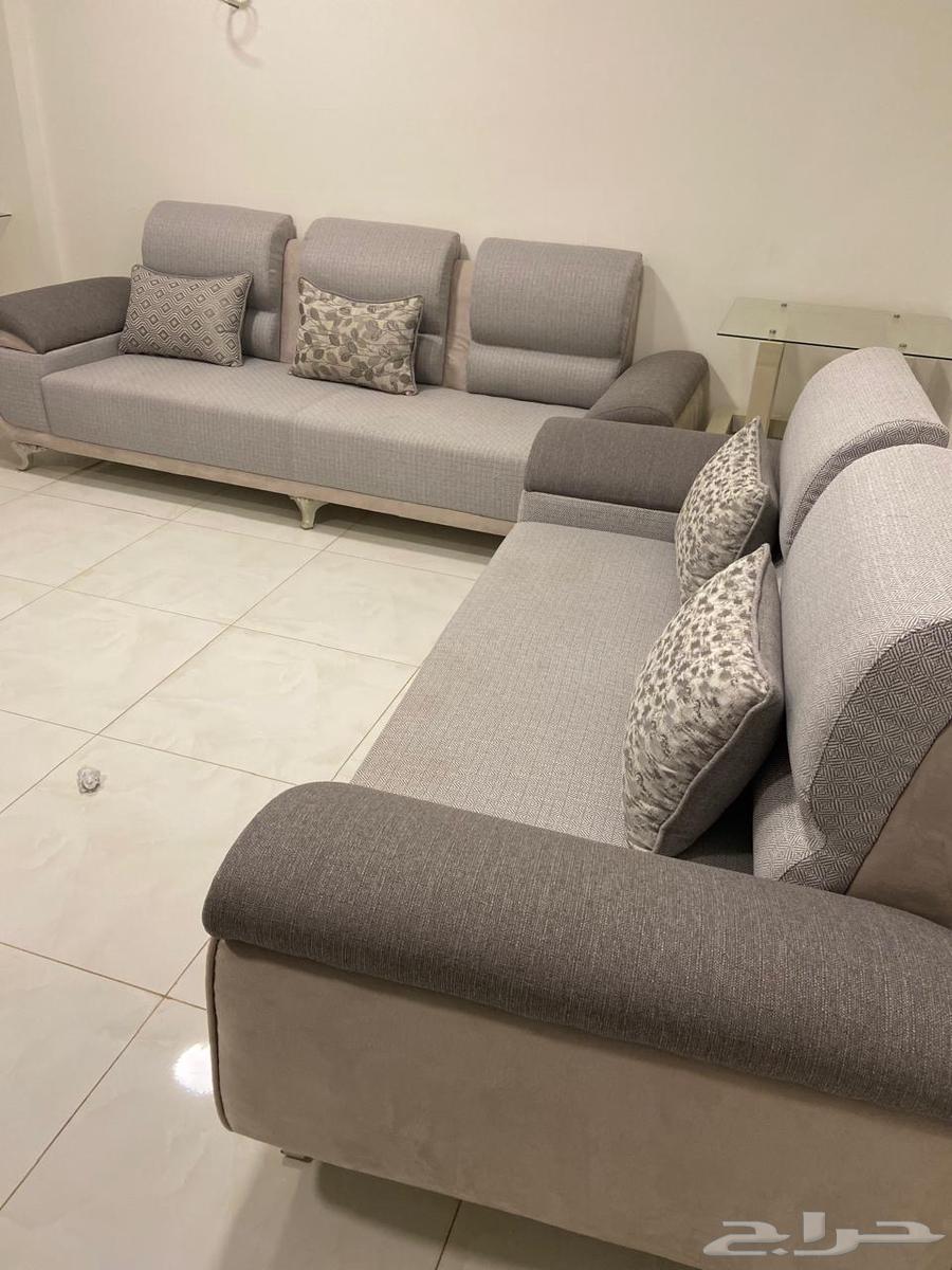 Sofa64555574445058113