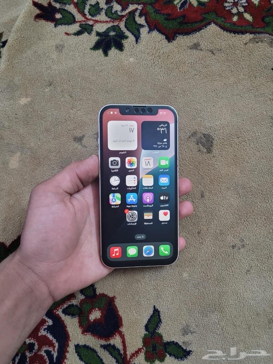 iPhone 13 Regular64560516131074111